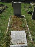 image of grave number 503788